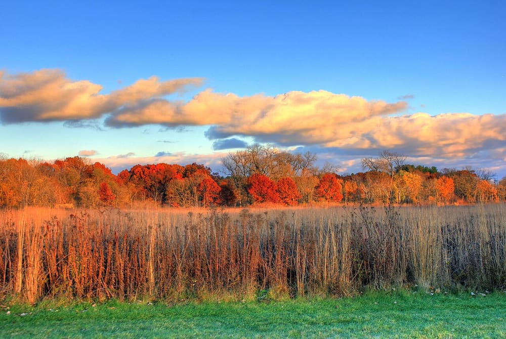 University of Wisconsin-Madison Arboretum, Madison, United States (Wimup)