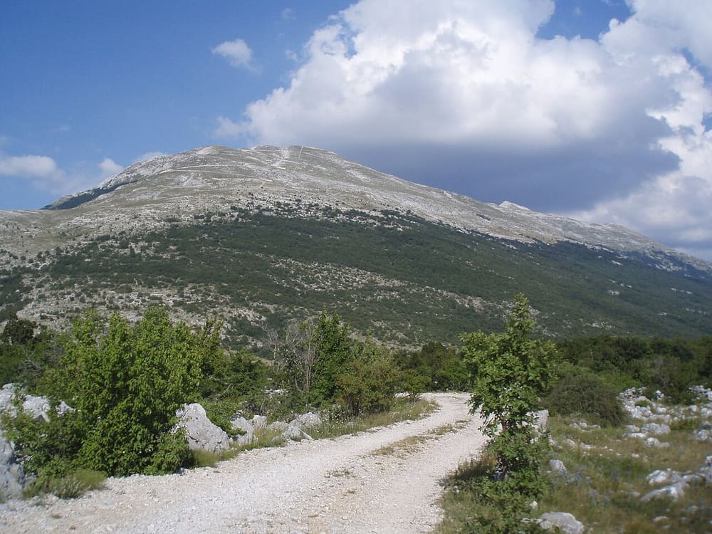 Velež
