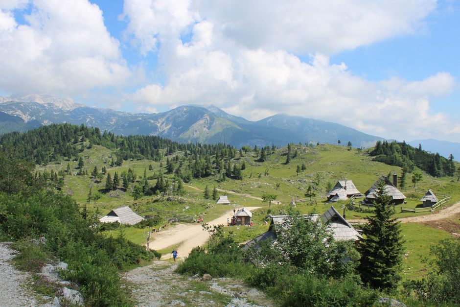 Velika Planina
