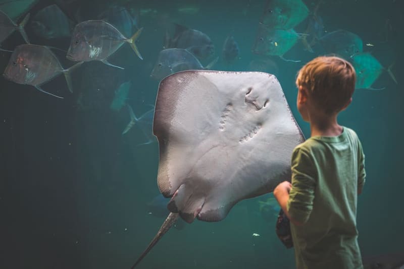 Visit the Aquarium in the Palacio del Mar, San Sebastián, Spain