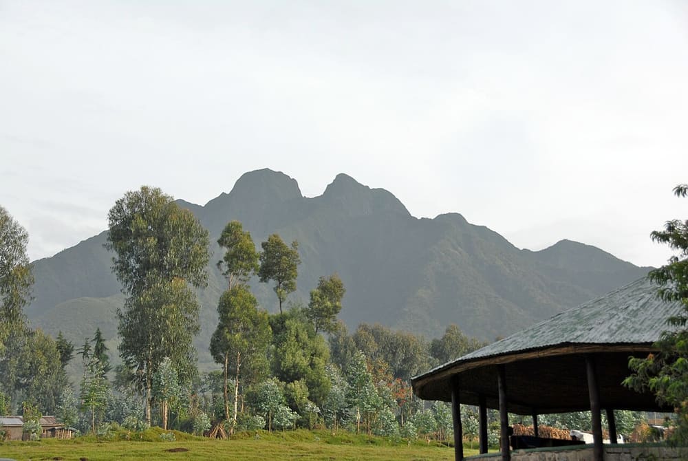Volcanoes National Park and Musanze