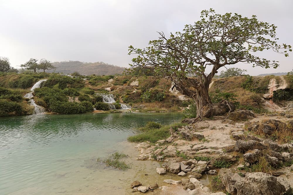 Wadi Darbat, Salalah, Oman (Wimup)