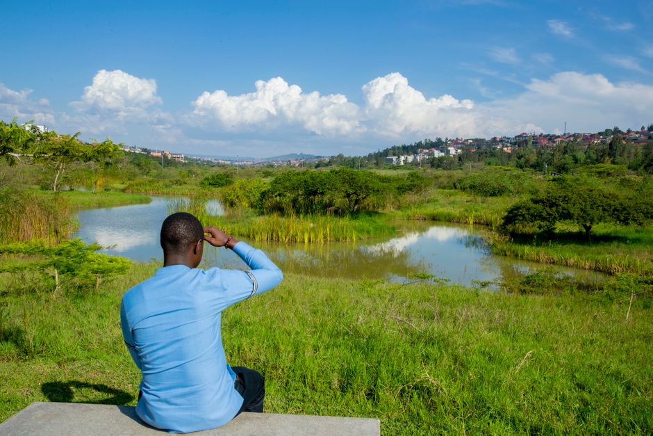 Walk the boardwalks at Nyandungu Eco-Park, Kigali, Rwanda