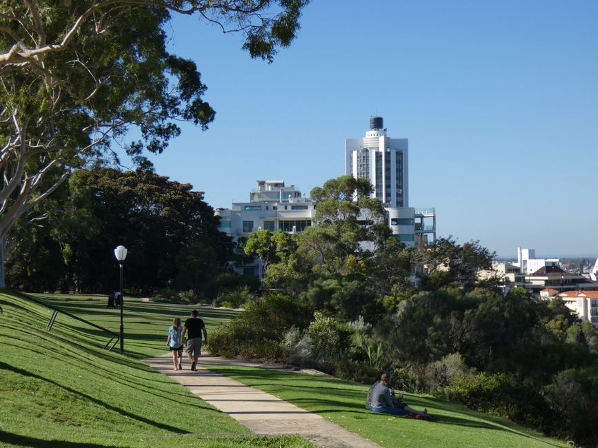 Walk the escarpment at Kings Park and Botanic Garden, Perth, Australia