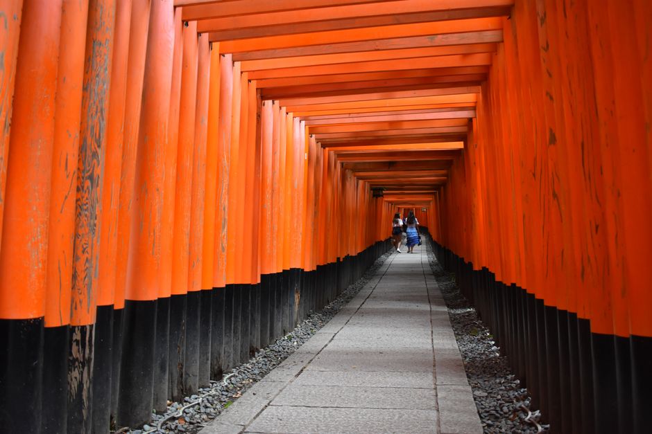 Walk the torii tunnels at Fushimi Inari, Kyoto, Japan
