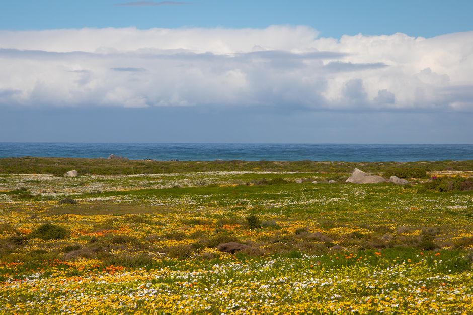 West Coast National Park
