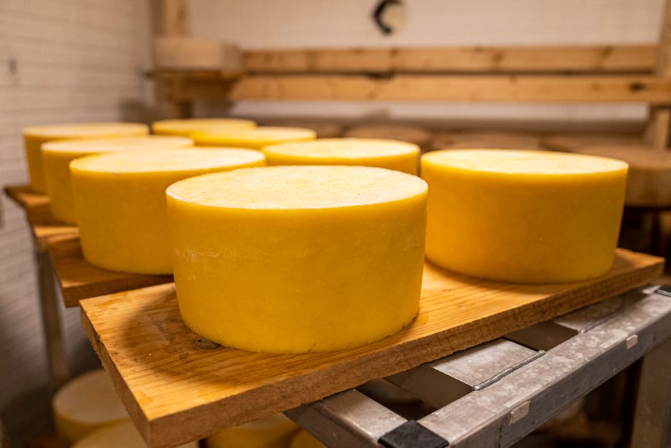 West Cork farmhouse cheese, Cork (Wimup travel guide)