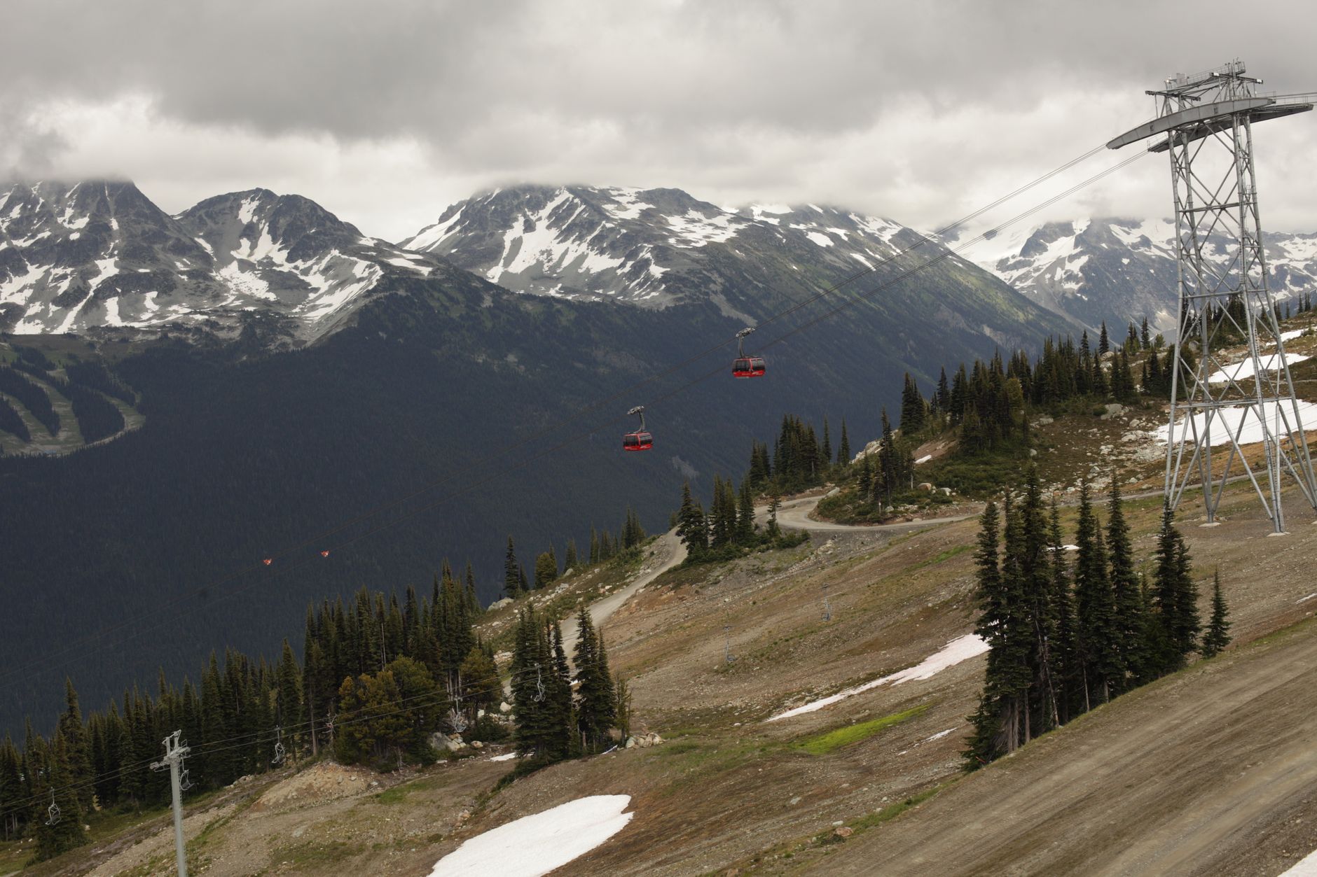 Whistler