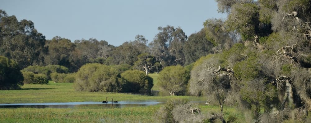 Whiteman Park
