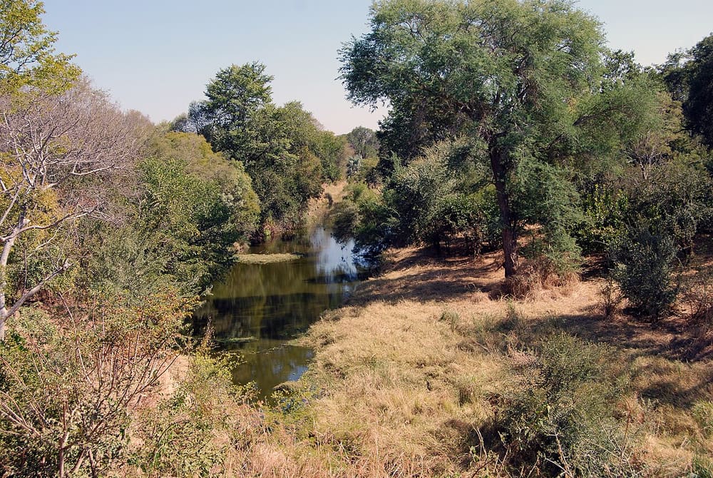 Zambezi National Park, Victoria Falls, Zimbabwe (Wimup)