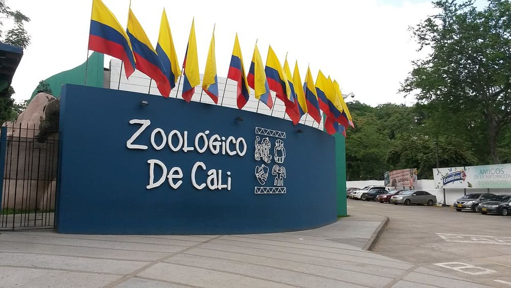 Zoológico de Cali, Cali, Colombia (Wimup)